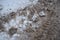 Snow, ice, slush and winter mud at a pedestrian crossing. The air temperature is about 0. Difficult driving conditions