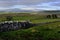 Snow on Ingleborough