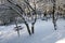 Snow in istanbul. Winter landscape from macka democracy and public park in winter season.