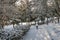 Snow in istanbul. Winter landscape from macka democracy and public park in winter season.