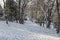Snow in istanbul. Winter landscape from macka democracy and public park in winter season.