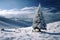 Snow kissed fir tree graces the tranquil winter landscape scene