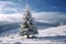 Snow kissed fir tree graces the tranquil winter landscape scene