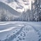 Snow kissed woods Forest immersed in a layer of tranquil snow