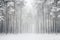 Snow-laden forest pathway inviting a tranquil winter walk AI Generated