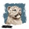 Snow leopard baby tabby portrait in close up. Watercolor digital art illustration of Panthera uncia. Mammal with thick fur furry