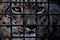 Snow leopard with clear eyes behind an iron grille. Symbol of fr