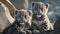 Snow leopard cubs (Panthera leo)