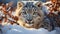 Snow leopard looking at camera in winter wilderness generated by AI