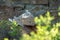 Snow leopard lounging on a rock at the John Ball Zoo