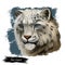 Snow leopard portrait in close up. Watercolor digital art illustration of Panthera uncia. Mammal with thick fur and furry coat.