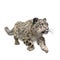 Snow Leopard running. 3D illustration isolated on white