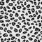 Snow leopard seamless pattern. Black and white animal jaguar skin background. Vector