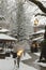 Snow lights, road in village Metsovo, winter