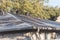 Snow melting on roof shingles of suburban residential house in Coppell, Texas, USA