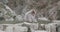 Snow monkey sitting on the edge of an onsen - hot spring -  fur blowing in the cold wind