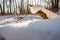 Snow mounds. Erotic snow dunes in the Ukrainian snowy woods evening with soft warm light of sunset Klevan Ukraine.