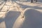 Snow mounds. Erotic snow dunes in the Ukrainian snowy woods evening with soft warm light of sunset Klevan Ukraine.