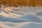 Snow mounds. Erotic snow dunes in the Ukrainian snowy woods evening with soft warm light of sunset Klevan Ukraine.