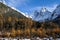 Snow mountain with autumn cedar
