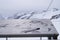 Snow mountain at Jungfraujoch, Switzerland