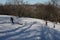 Snow in Normafa,Budapest,Hungary