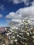 Snow in October near Desert View Watchtower at Grand Canyon, Arizona.