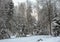 Snow park with snow-covered benches