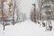 Snow pathway