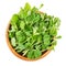Snow pea microgreen in wooden bowl over white