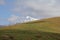 A snow peak with meadow in foreground