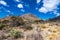 Snow on the Peaks in Guadalupe Mountain National Park