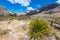 Snow on the Peaks in Guadalupe Mountain National Park