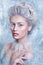 Snow Queen.Fantasy girl portrait. Winter fairy portrait.Young woman with creative silver artistic make-up. Winter Portrait.