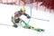 Snow Queen Trophy 2019 Mens Slalom
