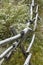 Snow on rail fence in bushes, Wyoming