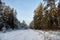 Snow road in spruce forest in winter day. Nice nature ladscape