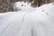 Snow road in winter pine forest. Ice and snowstorm on a country road