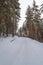 Snow road in winter pine forest. Ice and snowstorm on a country road.