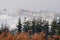 Snow scape in Elguea range (Spain)