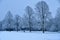 Snow scene Maidenhead Thicket