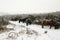 Snow scenery with ponies in Dartmoor National Park