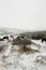 Snow scenery with ponies in Dartmoor National Park