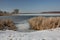 Snow on the shore of a frozen lake and a clump of reeds. Horizon and blue sky