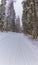 Snow, sports, trees, ski track