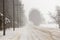 Snow Squall Conditions on a Country Road in Ontario Canada