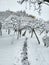 Snow stages in wintertime in Bucharest