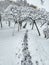 Snow stages in wintertime in Bucharest