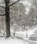 Snow storm Central Park