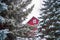 Snow Storm Falling On Spruce Trees With Red Barn